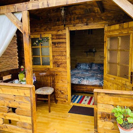 Camping In Clisura Dunarii Ieşelniţa Extérieur photo