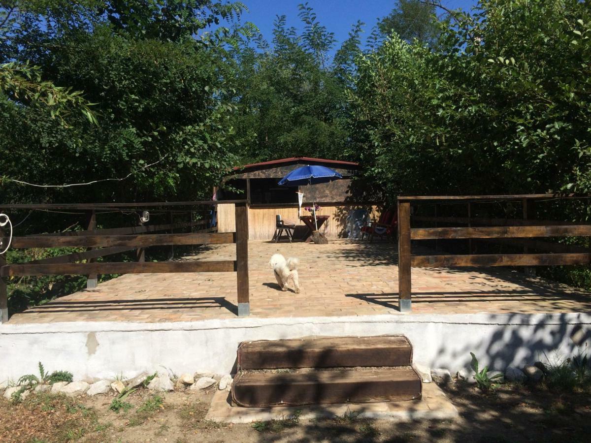 Camping In Clisura Dunarii Ieşelniţa Extérieur photo